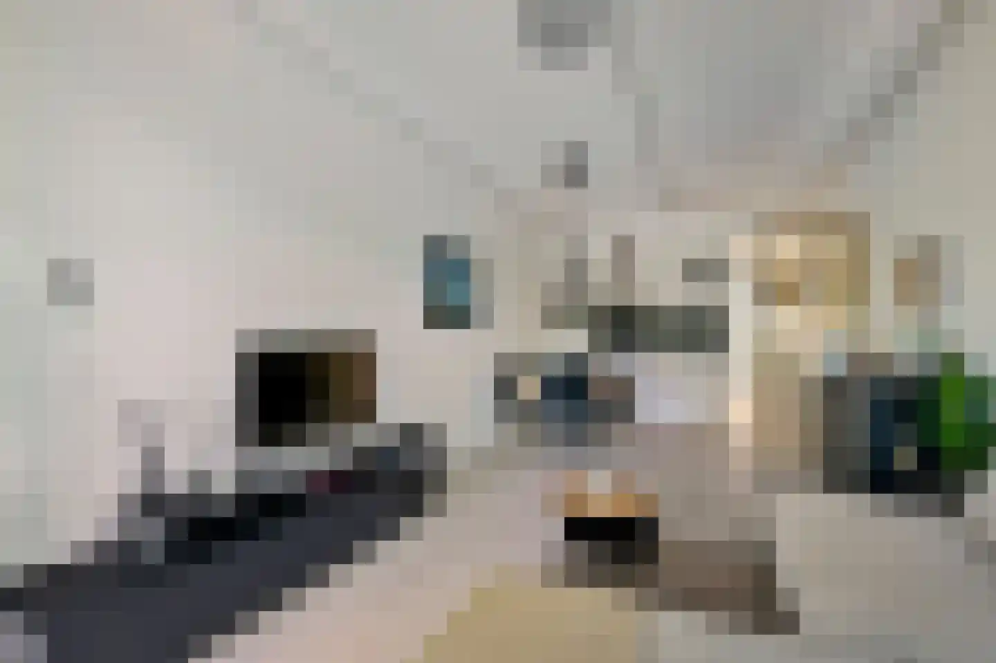 Nieuwpoortstraat 94 B 14 Amsterdam thumbnail 12
