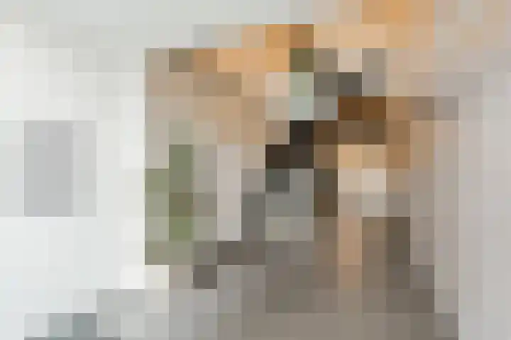 Nieuwpoortstraat 94 B 7 Amsterdam thumbnail 35