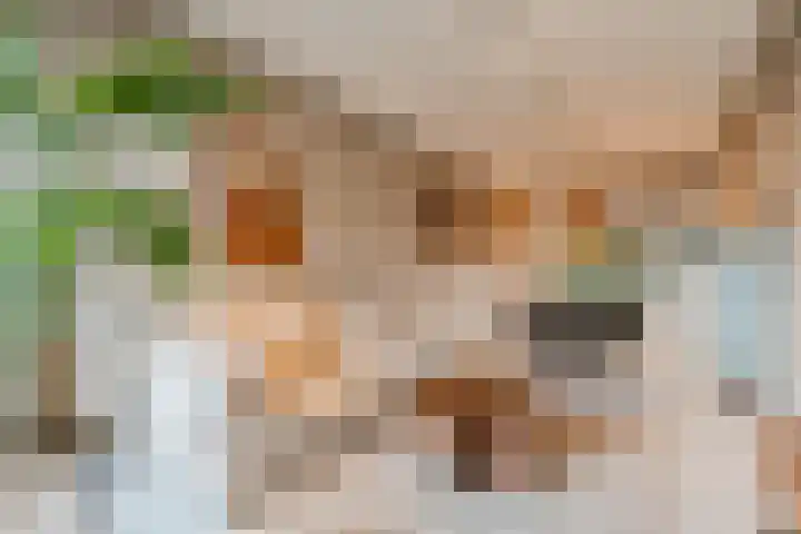 Nieuwpoortstraat 94 B 7 Amsterdam thumbnail 6