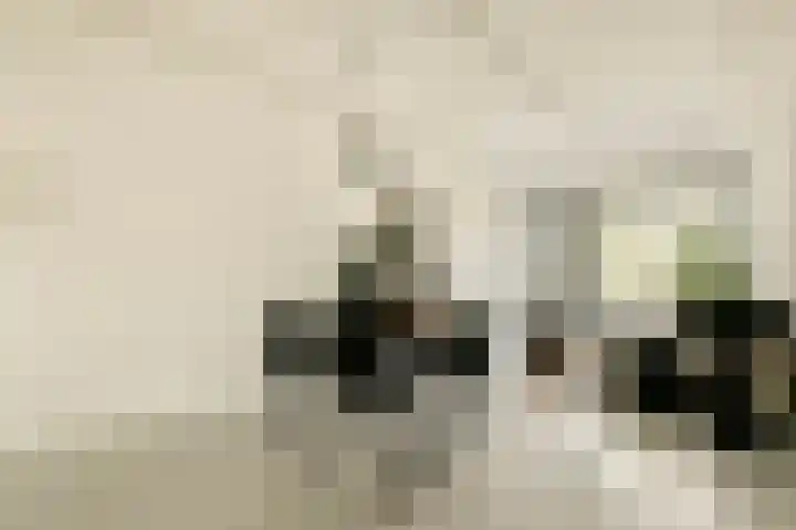 Nieuwpoortstraat 94 C 5 Amsterdam thumbnail 4