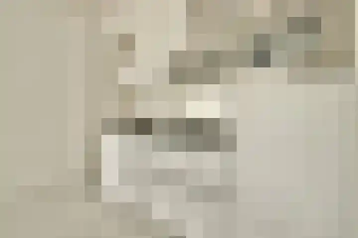 Nieuwpoortstraat 94 C 5 Amsterdam thumbnail 7