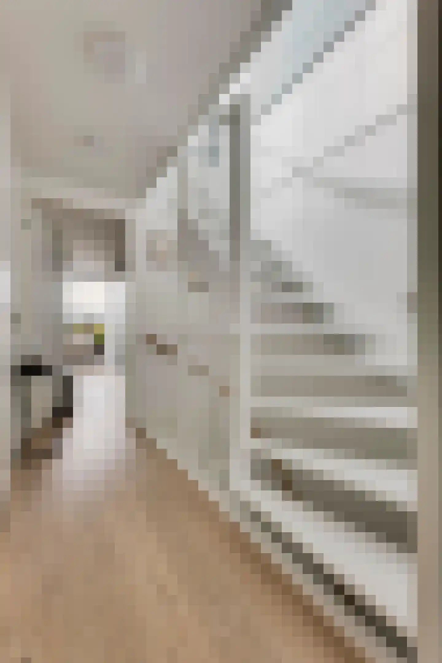 Nieuwpoortstraat 94 D 16 Amsterdam thumbnail 23