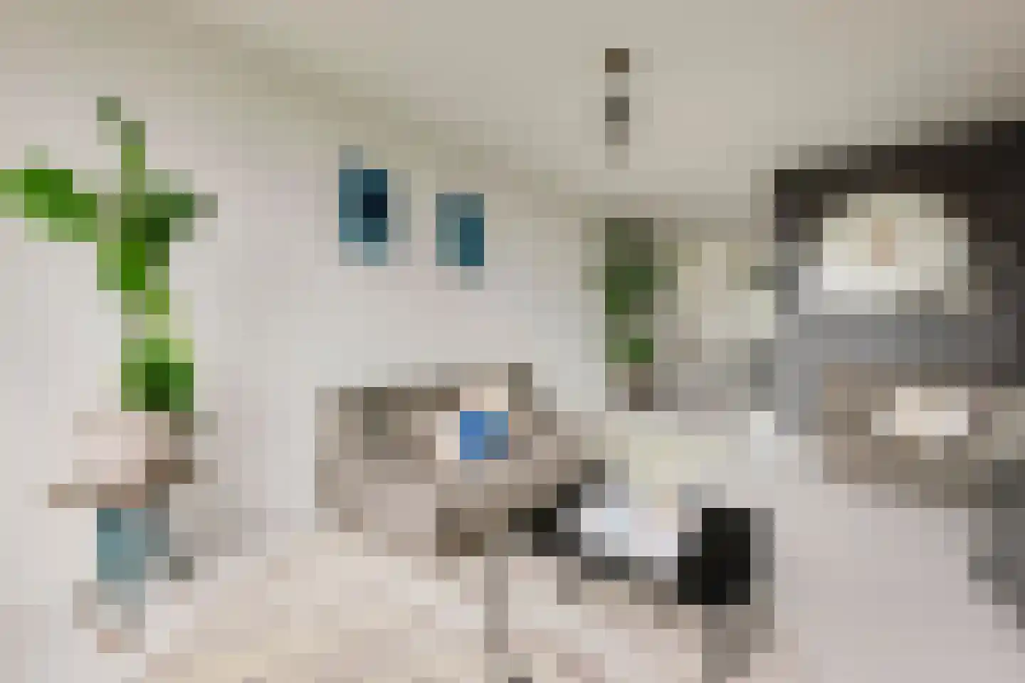Nieuwpoortstraat 94 D 16 Amsterdam thumbnail 7