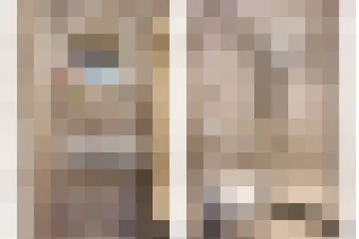 Nieuwpoortstraat 94 D 8 Amsterdam thumbnail 18