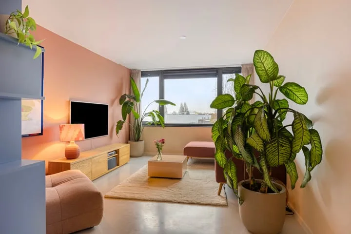 Nieuwpoortstraat 94 D 8 Amsterdam thumbnail 9