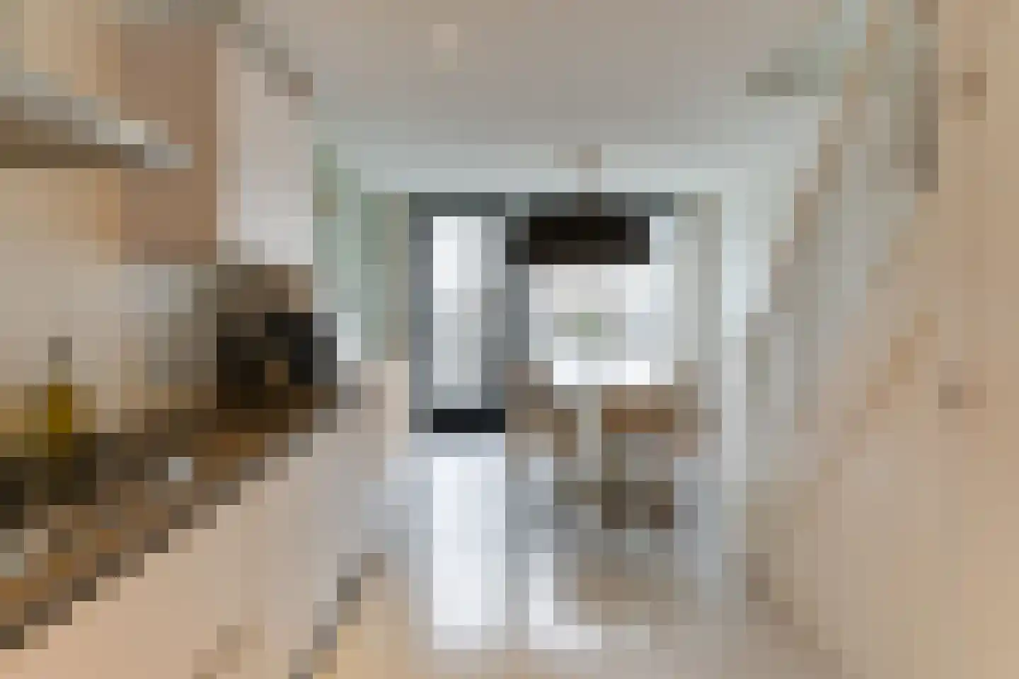 Nieuwpoortstraat 94 D 9 Amsterdam thumbnail 8