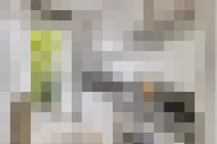 Nieuwravenstraat 12 BS Utrecht thumbnail 17