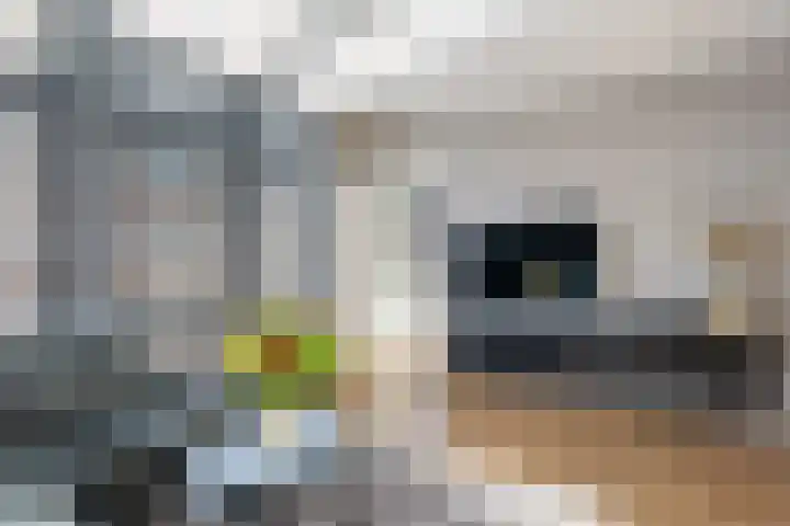 Nieuwravenstraat 15 BS Utrecht thumbnail 18