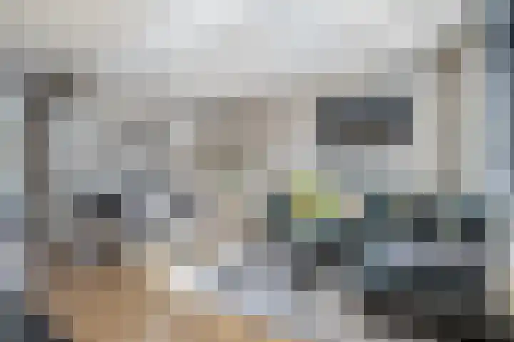 Nieuwravenstraat 15 BS Utrecht thumbnail 5
