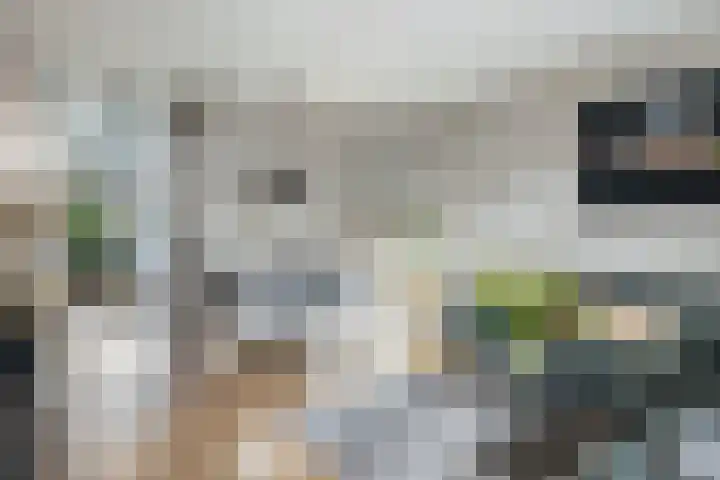 Nieuwravenstraat 15 BS Utrecht thumbnail 7