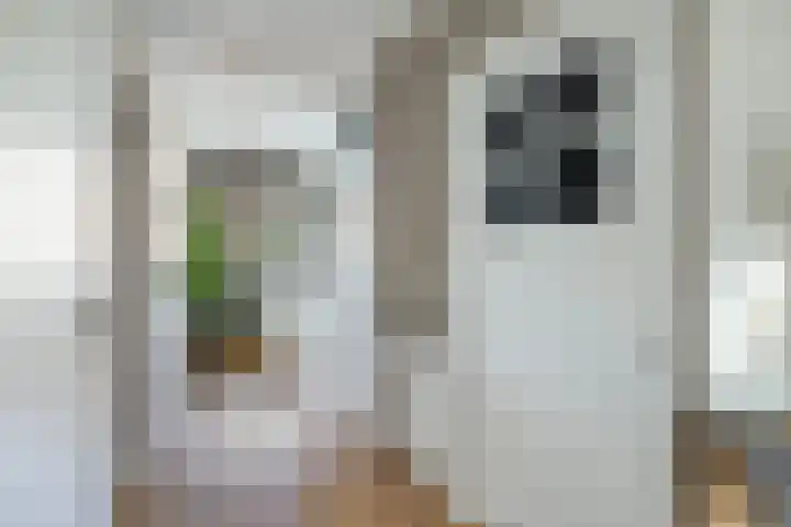 Nieuwravenstraat 15 BS Utrecht thumbnail 8