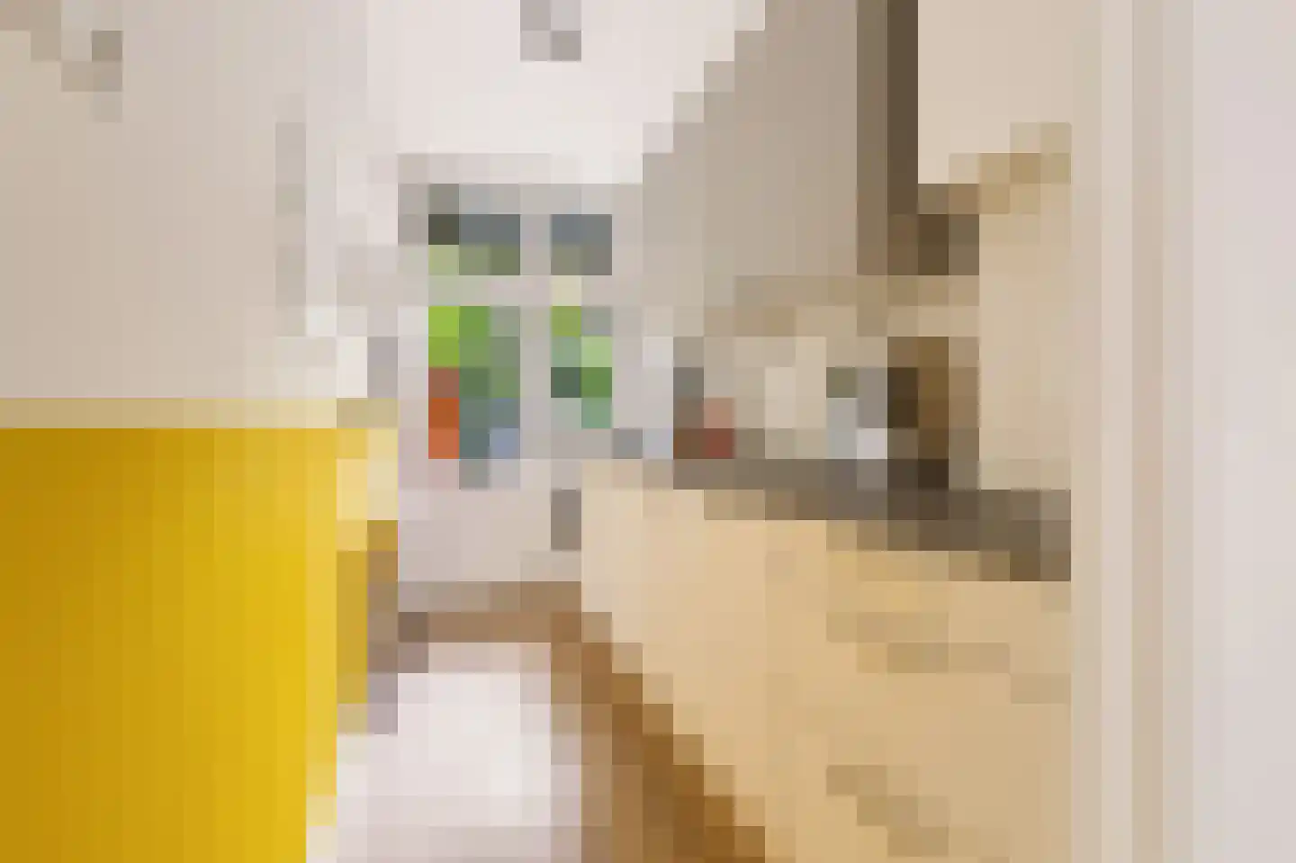 Nieuwravenstraat 19 Utrecht thumbnail 10