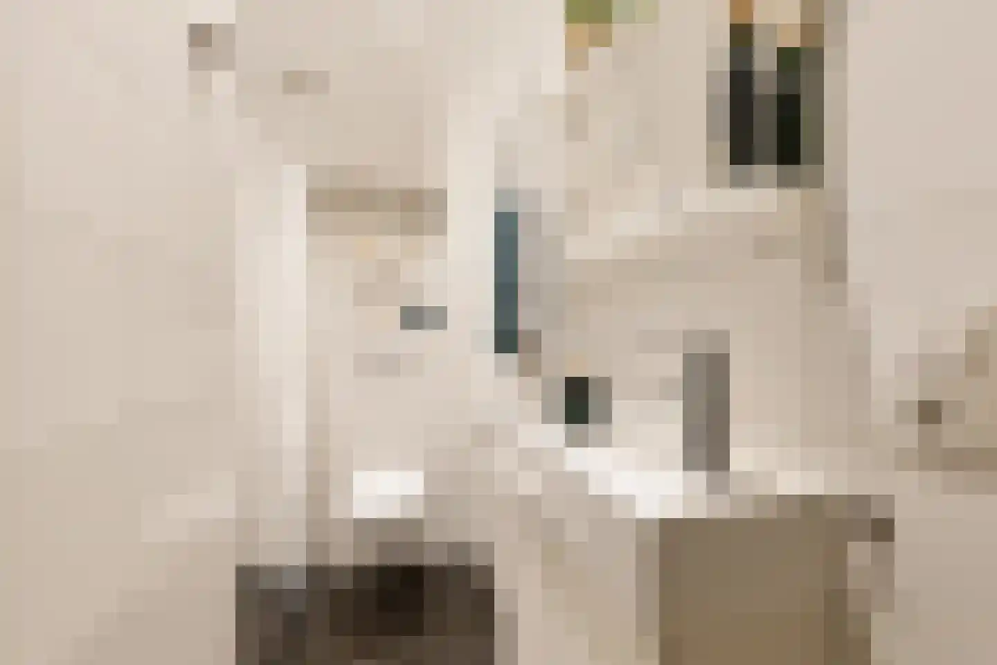 Nieuwravenstraat 19 Utrecht thumbnail 13
