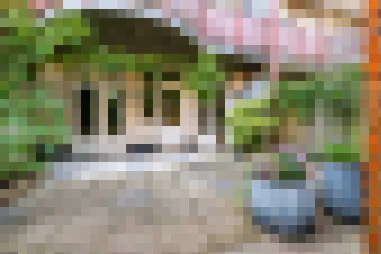 Nieuwravenstraat 19 Utrecht thumbnail 20