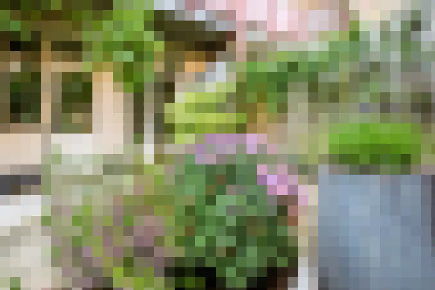 Nieuwravenstraat 19 Utrecht thumbnail 21