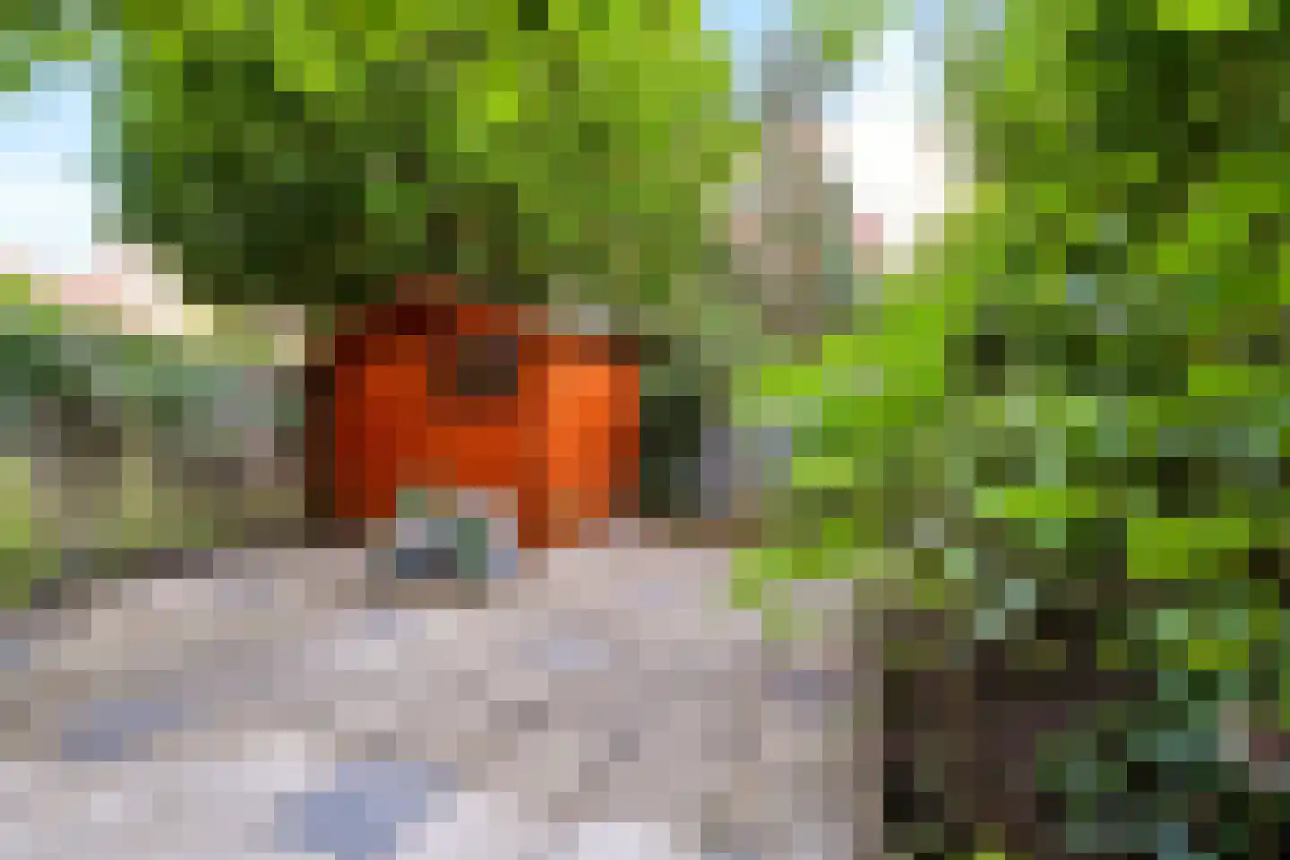 Nieuwravenstraat 19 Utrecht thumbnail 5