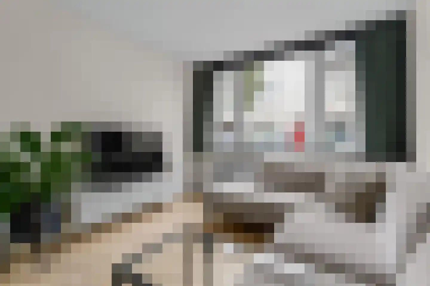 Nieuwravenstraat 6 Utrecht thumbnail 14