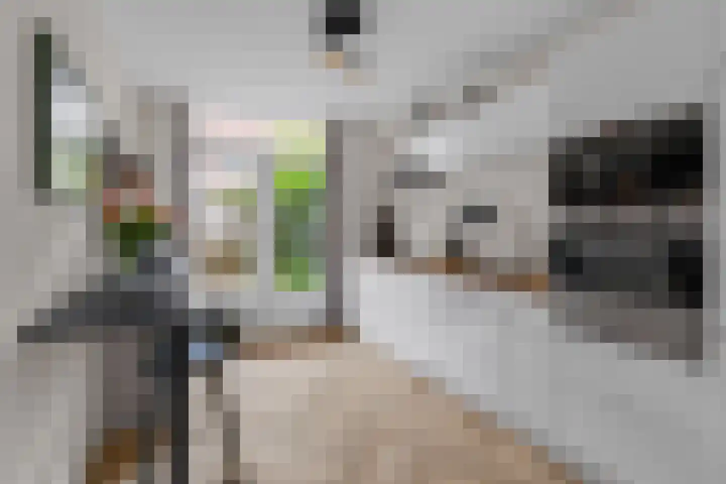 Nieuwravenstraat 6 Utrecht thumbnail 4