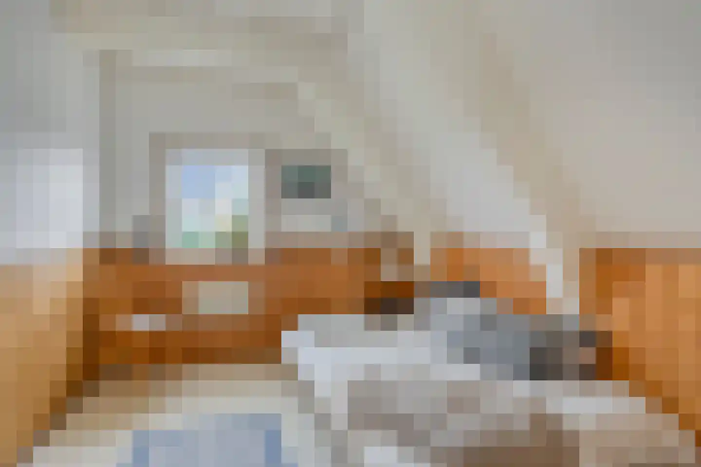 Nieuwstad 10 Hindeloopen thumbnail 13