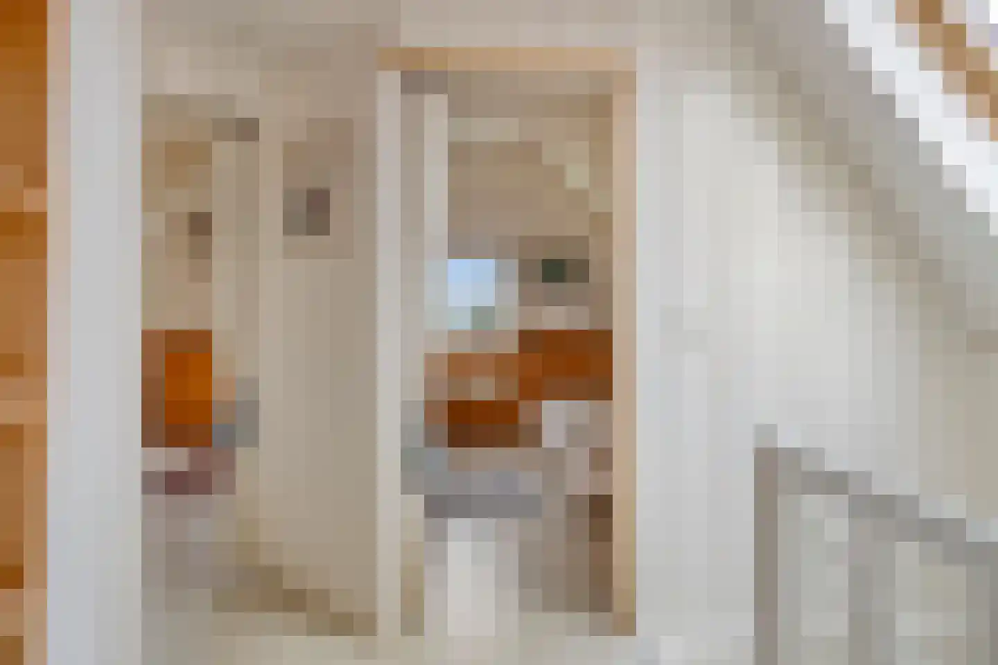 Nieuwstad 10 Hindeloopen thumbnail 19