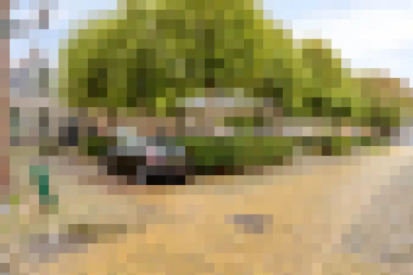 Nieuwstad 10 Hindeloopen thumbnail 31
