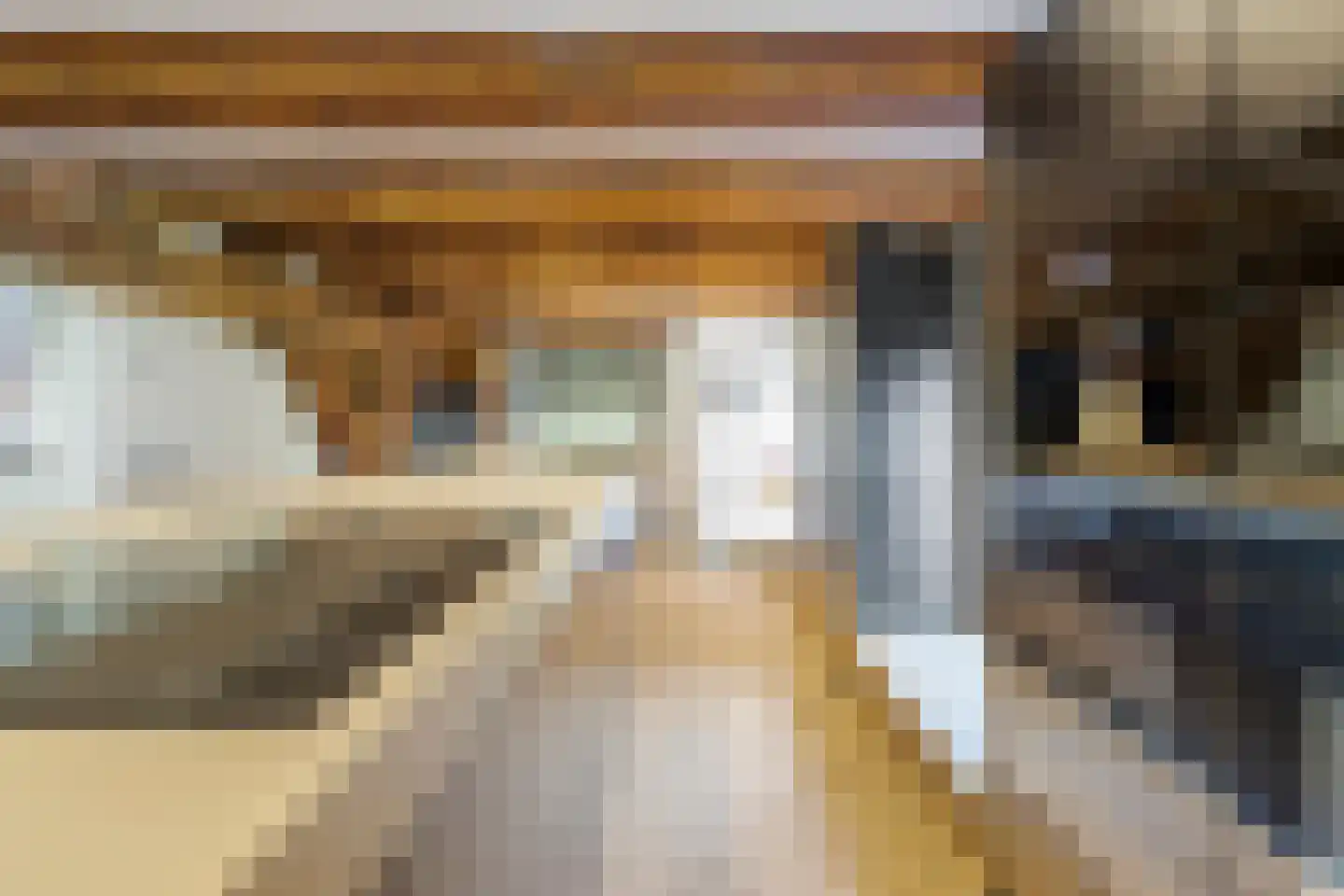 Nieuwstad 100 d Weesp thumbnail 10