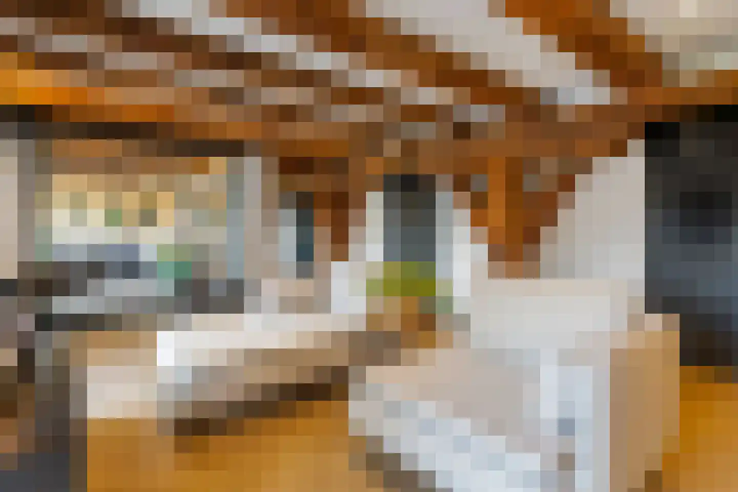 Nieuwstad 100 d Weesp thumbnail 24