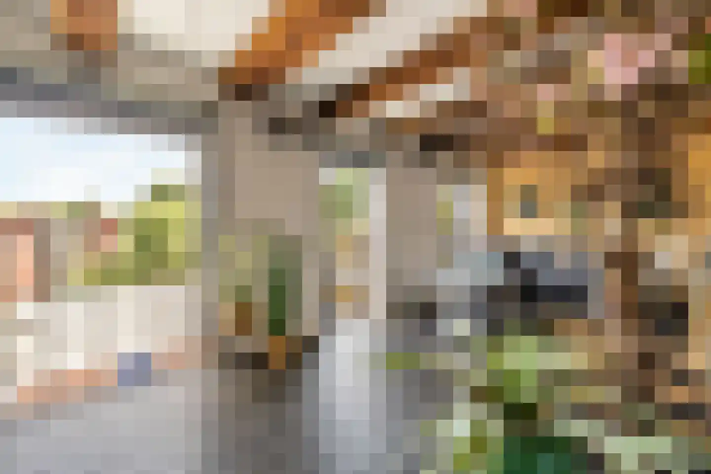Nieuwstad 100 d Weesp thumbnail 25