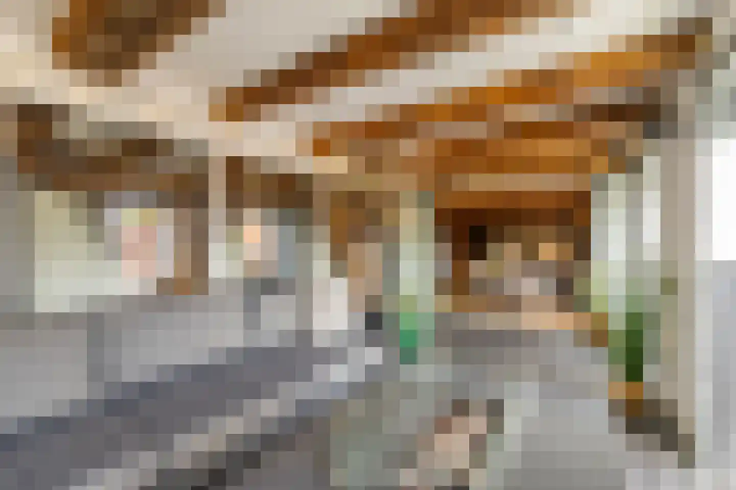 Nieuwstad 100 d Weesp thumbnail 27