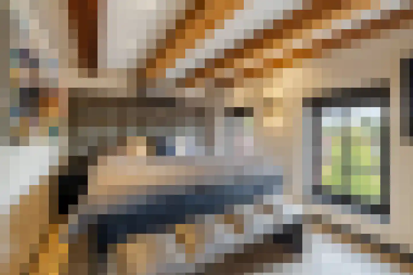 Nieuwstad 100 d Weesp thumbnail 28