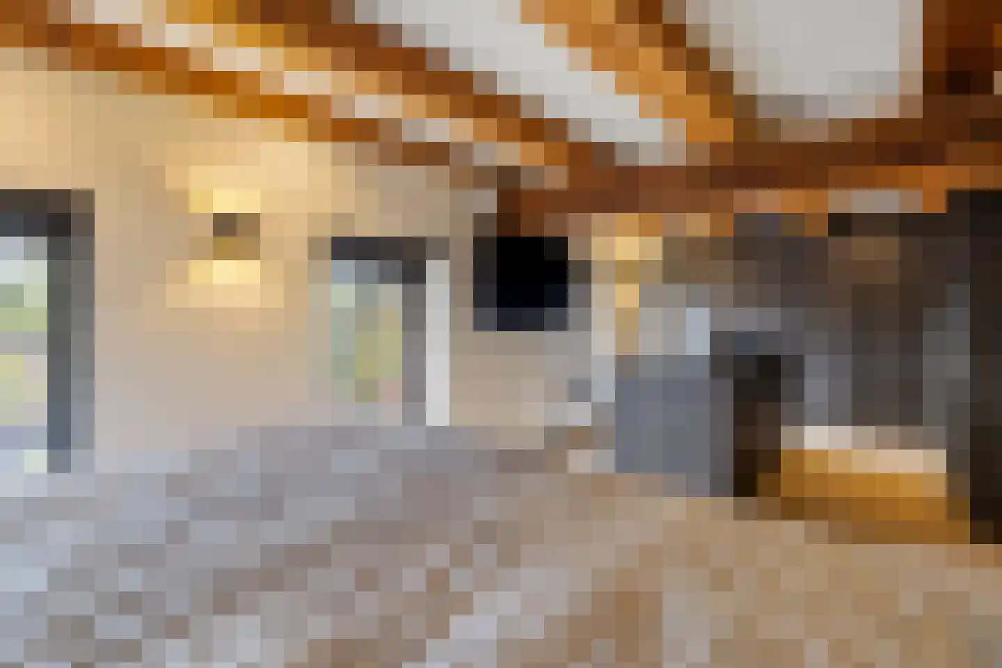 Nieuwstad 100 d Weesp thumbnail 29