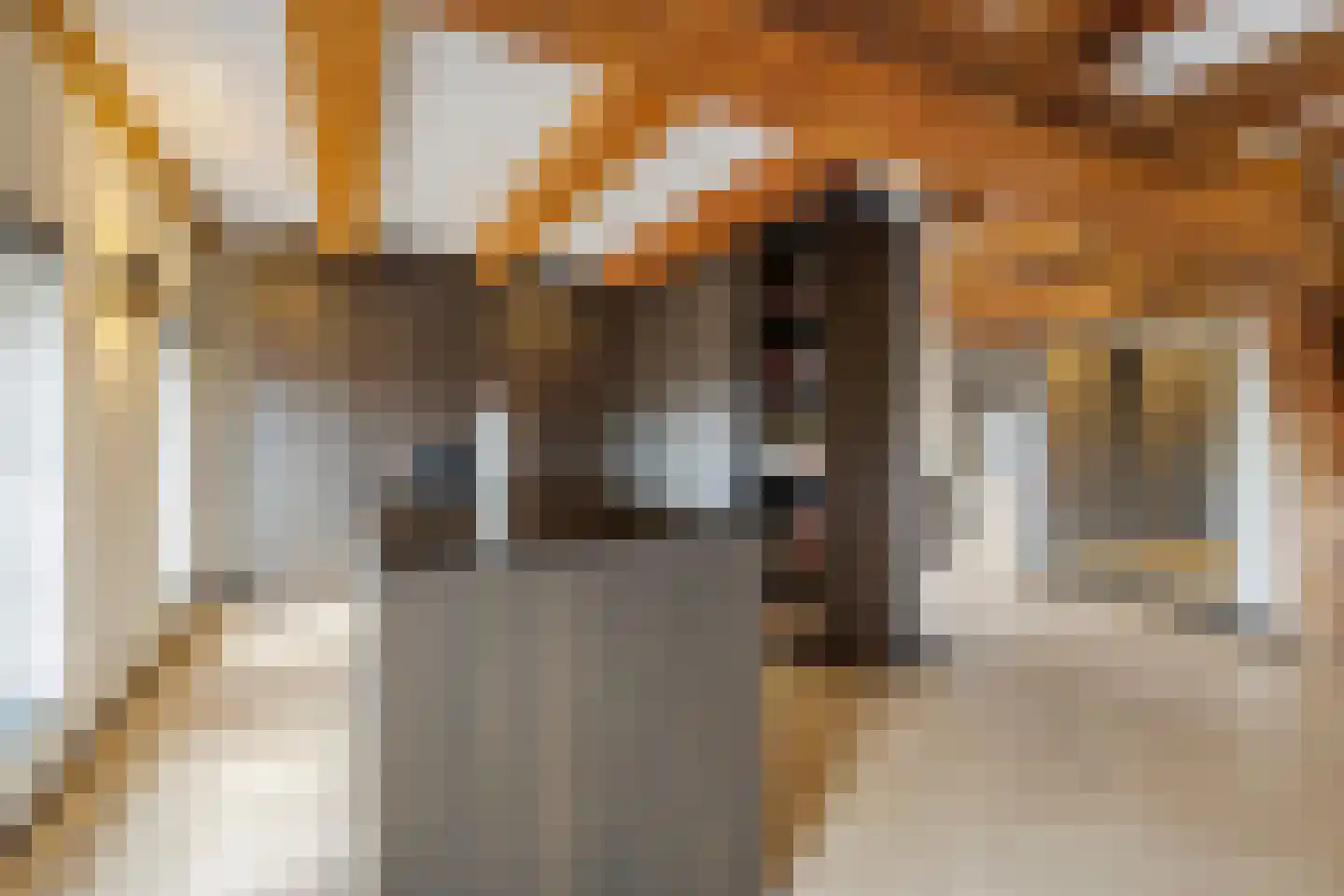 Nieuwstad 100 d Weesp thumbnail 30