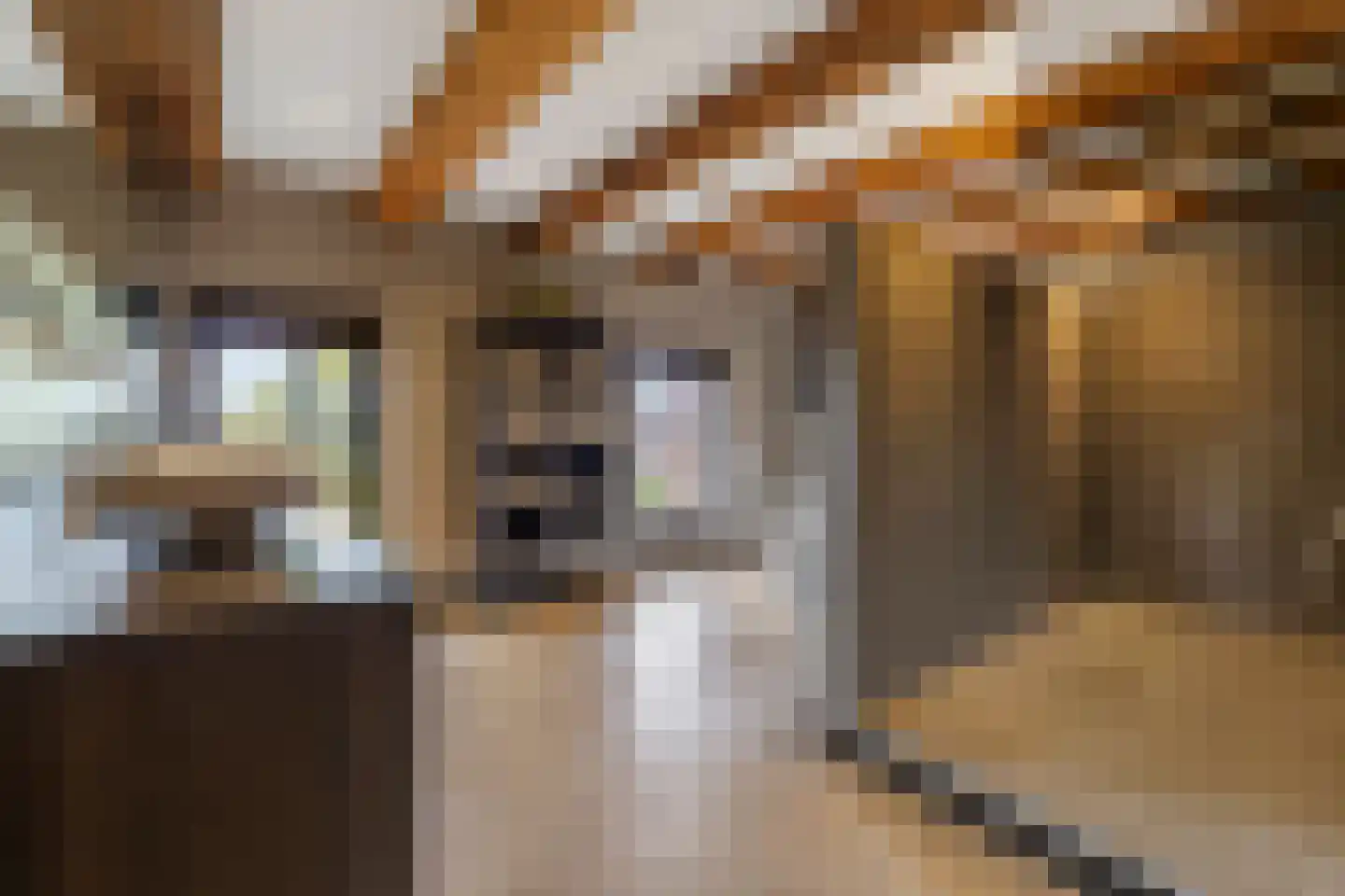 Nieuwstad 100 d Weesp thumbnail 33
