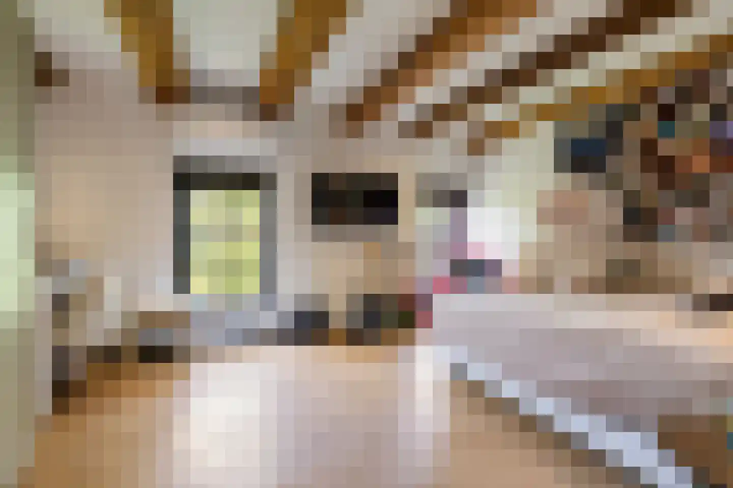 Nieuwstad 100 d Weesp thumbnail 37