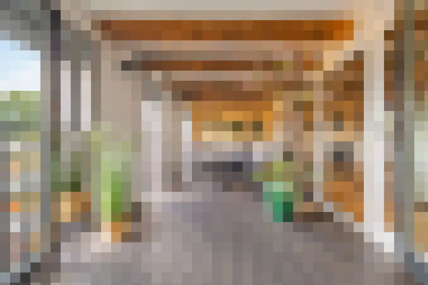 Nieuwstad 100 d Weesp thumbnail 4