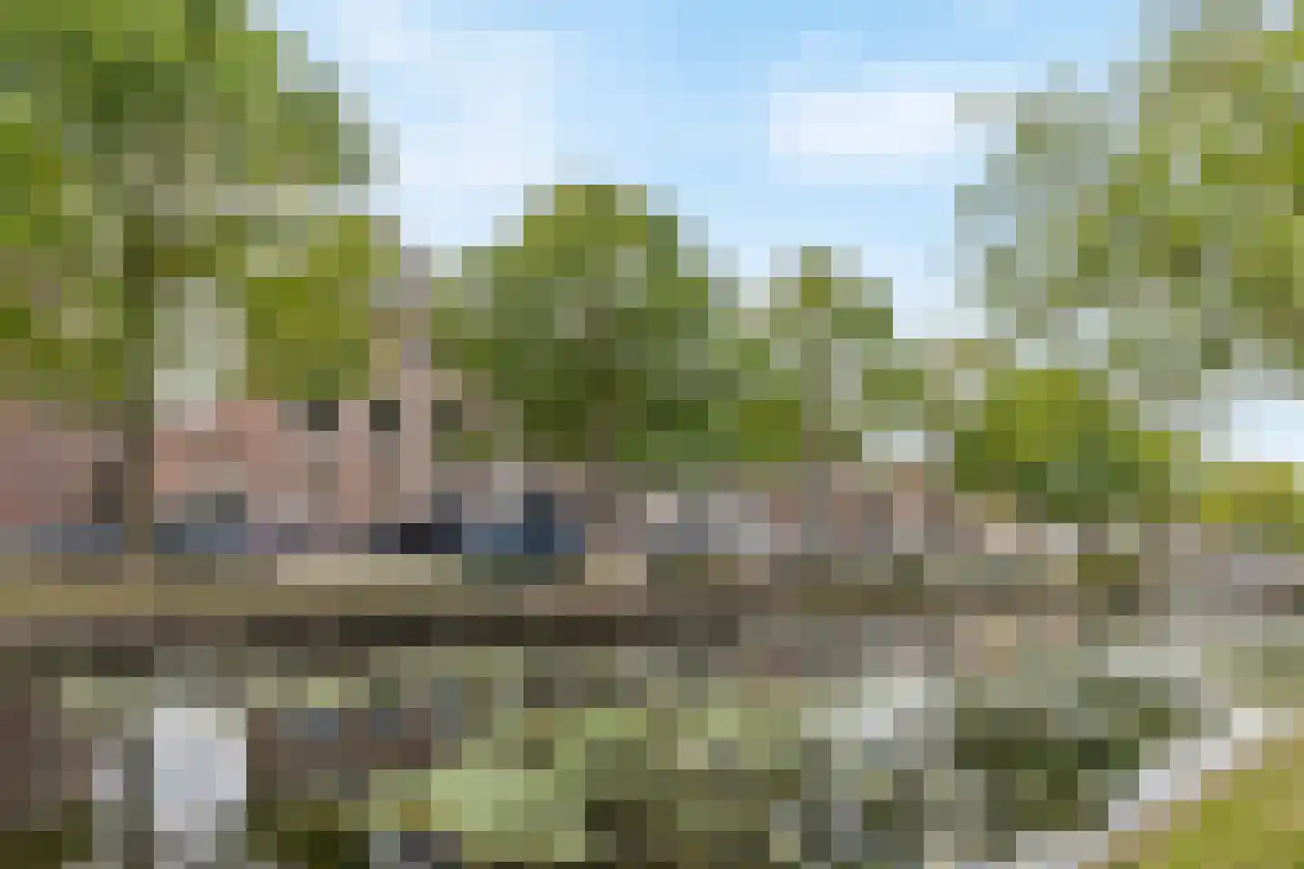 Nieuwstad 100 d Weesp thumbnail 5