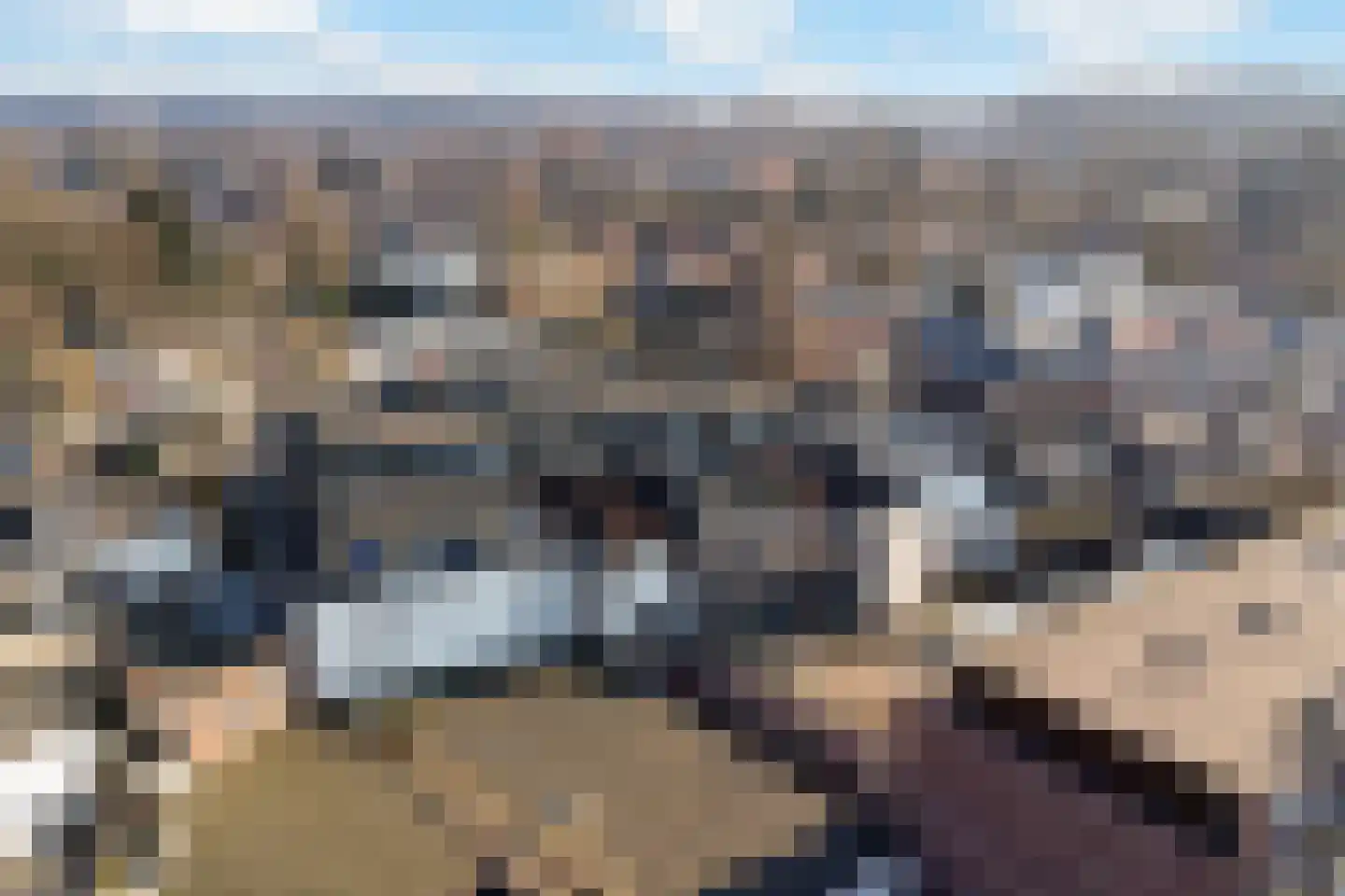 Nieuwstad 12 c Lochem thumbnail 22