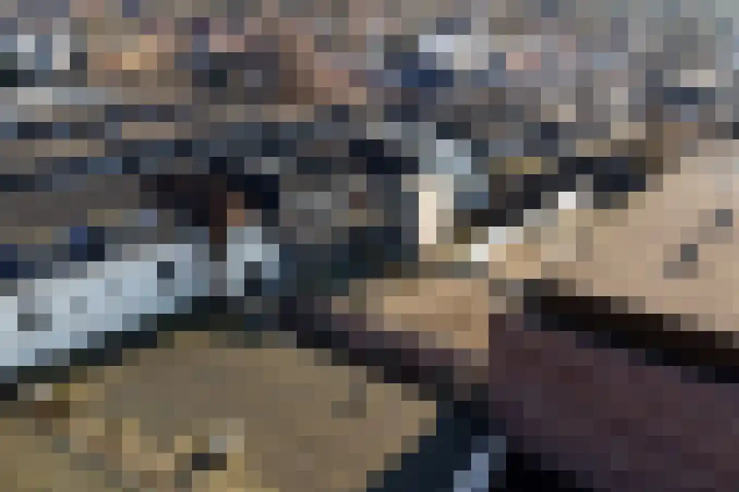 Nieuwstad 12 c Lochem thumbnail 24