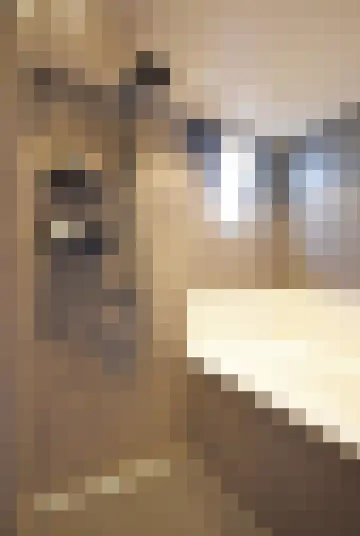 Nieuwstad 14 Burgum thumbnail 32
