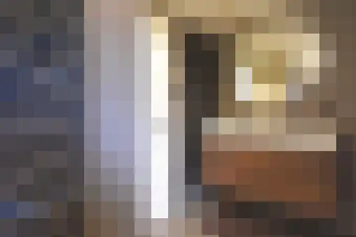 Nieuwstad 14 Burgum thumbnail 33