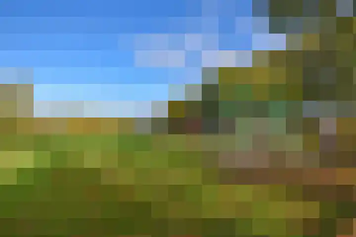 Nieuwstad 14 Burgum thumbnail 4