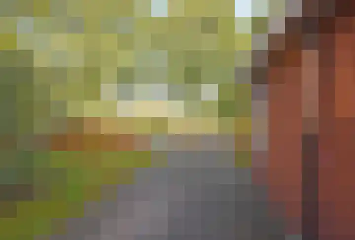 Nieuwstad 14 Burgum thumbnail 6