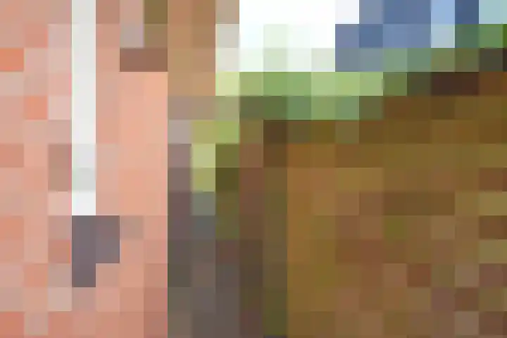 Nieuwstad 14 Burgum thumbnail 7
