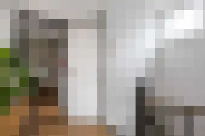 Nieuwstad 15 Farmsum thumbnail 25