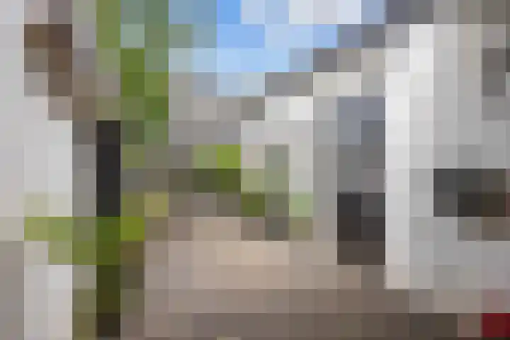 Nieuwstad 15 Farmsum thumbnail 39