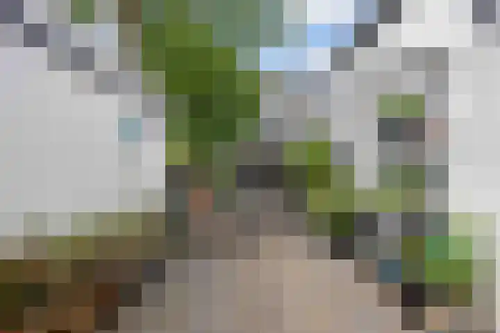 Nieuwstad 15 Farmsum thumbnail 40