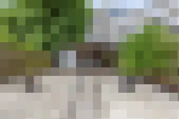 Nieuwstad 15 Farmsum thumbnail 46