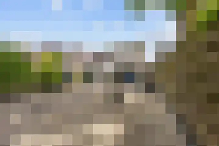 Nieuwstad 15 Farmsum thumbnail 49