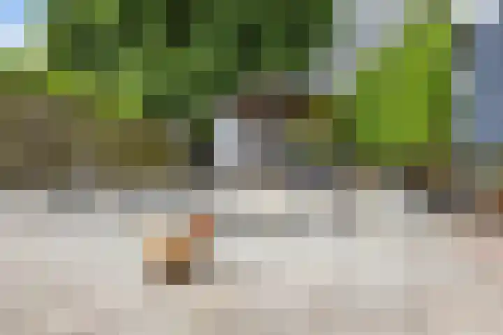 Nieuwstad 15 Farmsum thumbnail 52