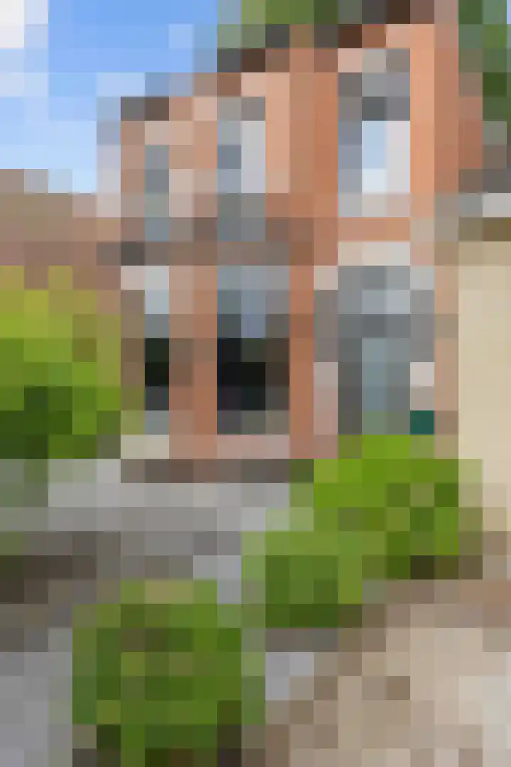 Nieuwstad 15 Farmsum thumbnail 53
